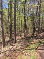 Lot #54 Old Barn RD