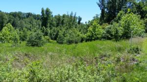 Lot 48 Waterside DR