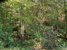 Lot 135 Forest Lawn DR