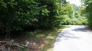 Lot 55 Gap Bridge RD