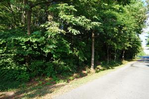 Lot 1 Moneta RD