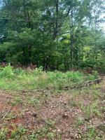 Lot 100 LYNVILLE DR