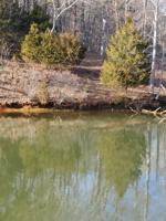 Lot 3 Bridgewater LN