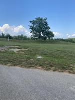 Lot 4 OUR COVE DR