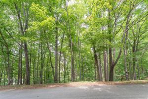 Lot 3 Somerset Cove RD