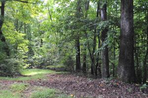 Lot #Well Lot Stripers LN