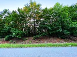 Lot 51 Bibee RD