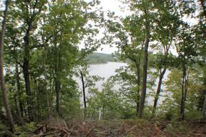Lot 158 Jons CT