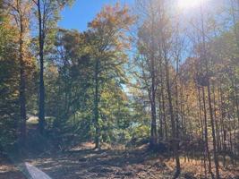 Lot #7 B Lot 7-B Fox Chase RD