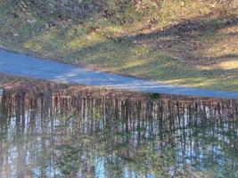 Lot 11 Pointe O Woods DR