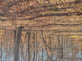 Lot 30 Gap Bridge RD