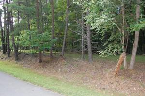 Lot 44 Gap Bridge RD