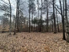 Lot #H Tract H Moonriver LN