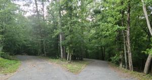 Lot 36 Long Pine CT