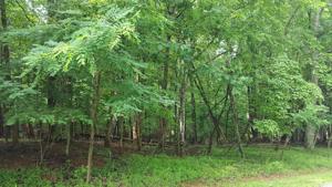 Lot #24 OLD MILL DR