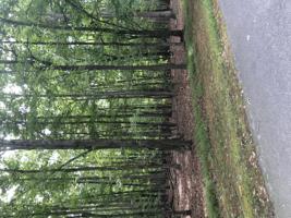Lot 232 Lake Front CIR