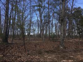Lot 58 Gap Bridge RD