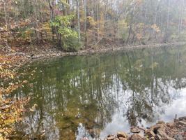 Lot 6A Moneta RD