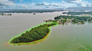 Lot #mini island Pine Bay DR