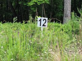 Lot #13 Lot 12 Belle Isle DR