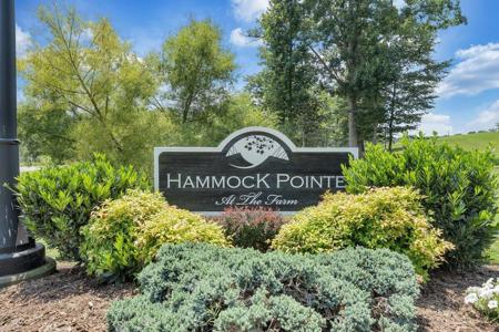 Lot 1 Hammock Pointe DR