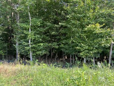 Lot 30 PLYBON LN