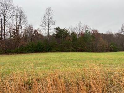 Lot 17 Blue Heron DR