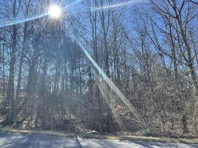 Lot 33 Whitetail DR