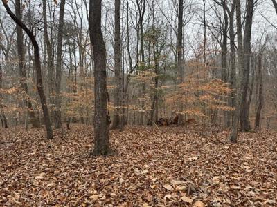 Lot 24 Old Post RD