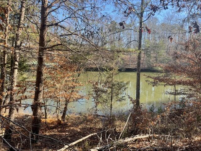 Image 4: View from Lot to Lake