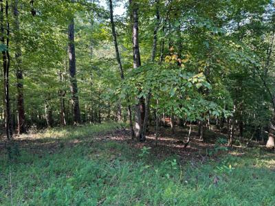 Lot 2 Cedar Bluff LN
