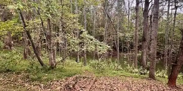 Lot #53 Old Mill DR