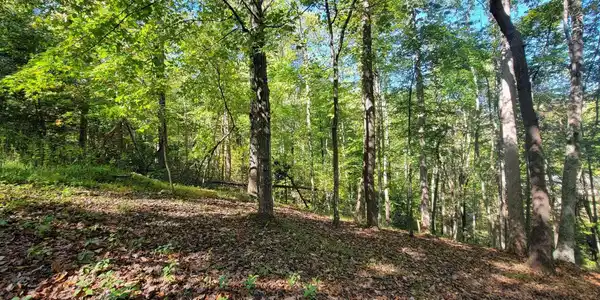 Lot 56 Summer House DR