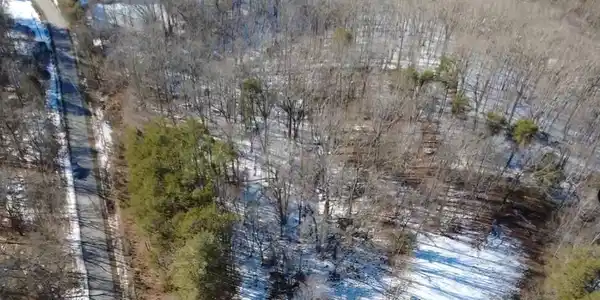 Image 2: 01