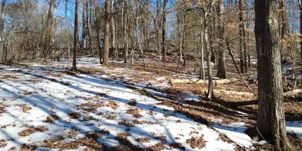 Image 4: 03