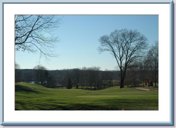 Image 1: BEAUTIFUL LOT