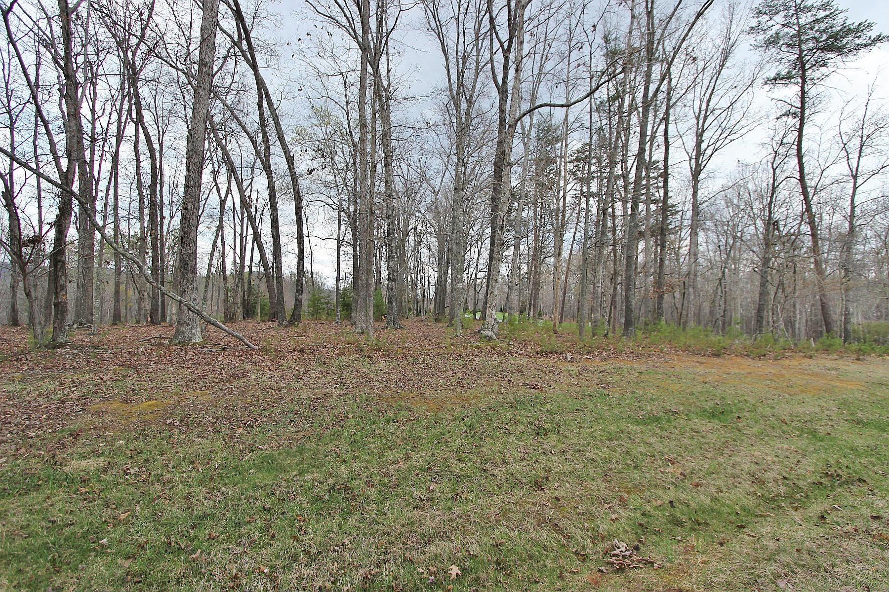 Image 2: Very big lot