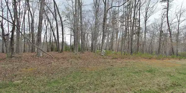 Image 2: Very big lot