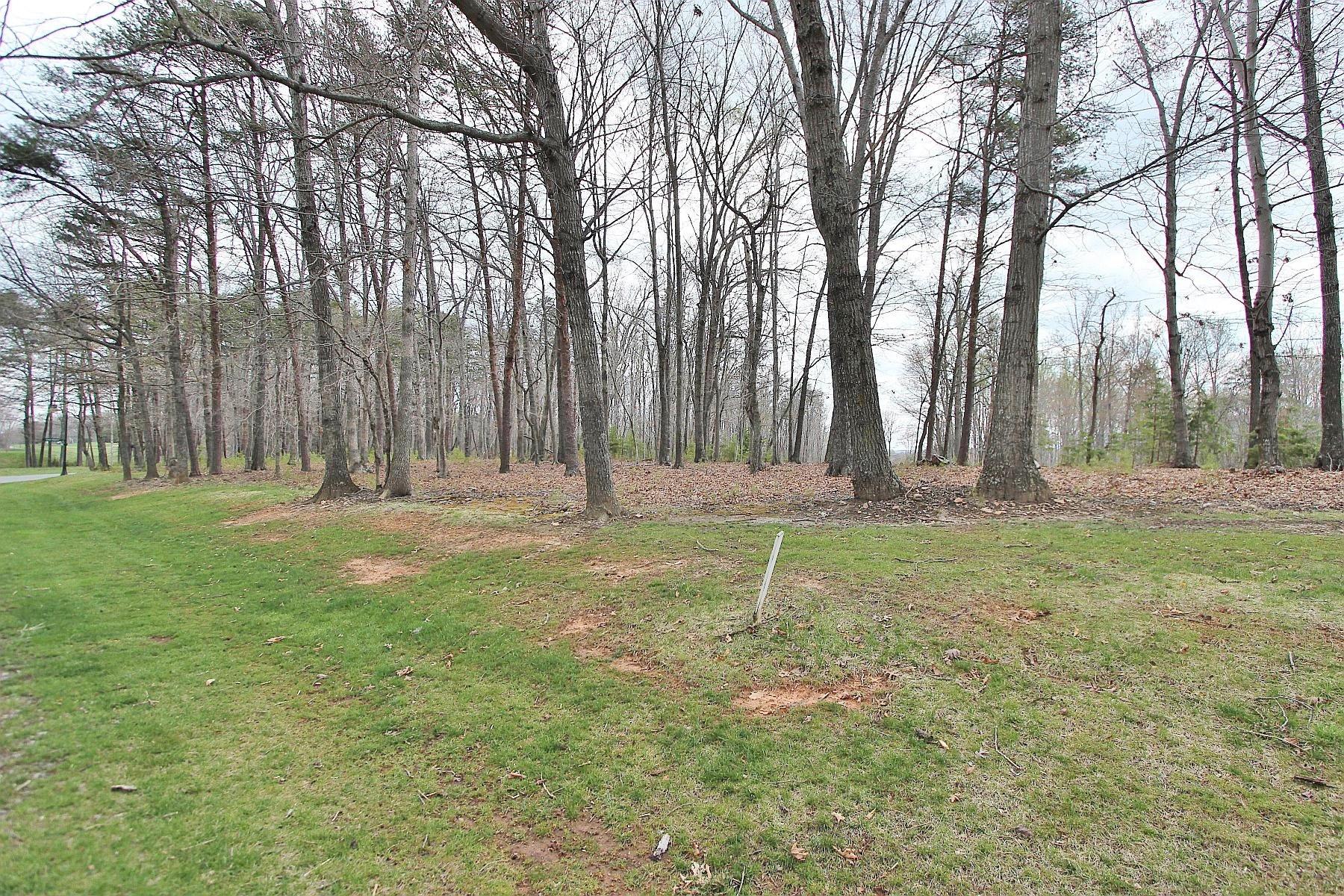 Image 3: Very spacious lot