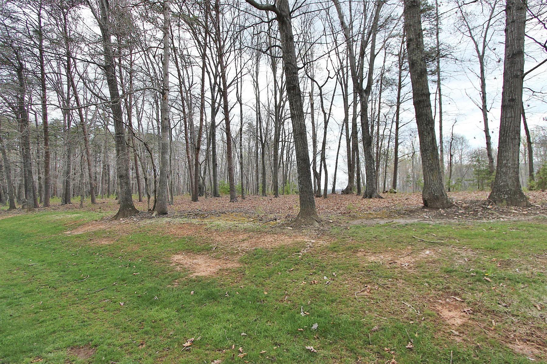 Image 4: Nice wooded area
