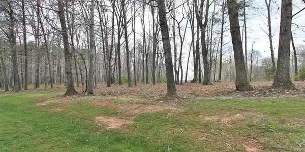 Image 4: Nice wooded area
