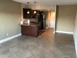 16109 SMITH MOUNTAIN LAKE PKWY Unit #G-1