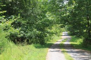 Lot 13 Acres LN