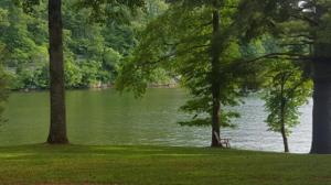 1309 Loggers RD