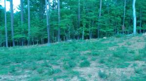0 Windsor Point Loop Lot #10 & 11