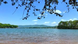 Lot #15,16,17 Lakestone RD