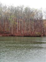 Lot 75 Forest Lawn DR