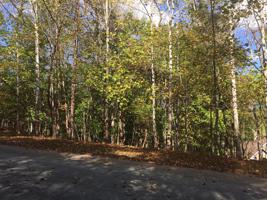 Lot 62 Walnut Run DR