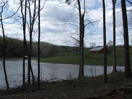 Lot 13 Sassafras CT