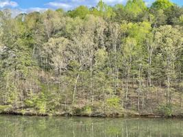 Lot 6 Woodland Cove DR